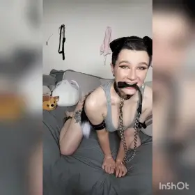 I bought the heaviest chain I could find