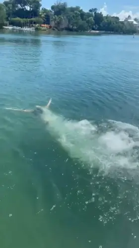 [f] Tiny tits in the wild! 😜