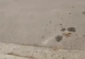 What would you do if you saw me walking down your street?