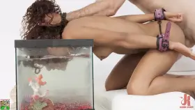 They're so cute when being used..