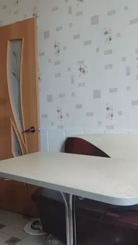 This ass will save the world