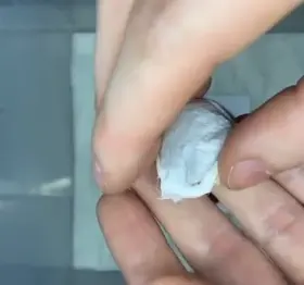 Just wait till they all grow up