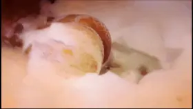 i love my giant ass!