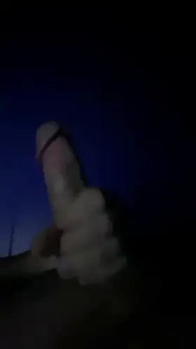 Would you go for a ride?