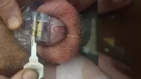 thank you to everyone that voted on my last post excited to start my permanent chastity