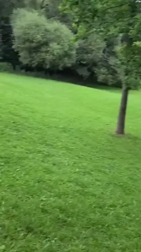 Literally seen in the end 😒