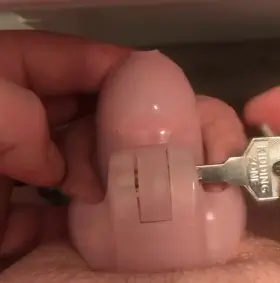 Ordered to switch to the smallest cage I have.