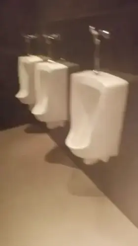 Big bear boy shooting massive loads of cum in a public toilet (DMs open, SC in profile)