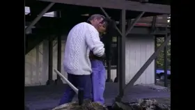 Heather Lee - Cabin Fever (1995)