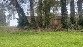 Who said that cutting the grass is boring?