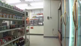 [PPPD-289] Nude shopper