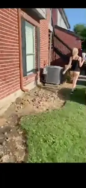 I like to give our neighbors a peek