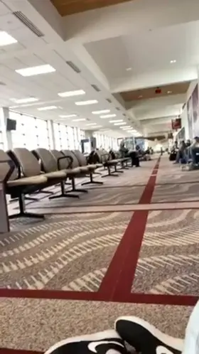 Natural Bouncing Tits