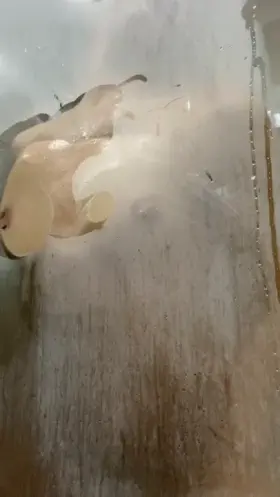 I hope my tiny wet nipples are enough to make your dick hard