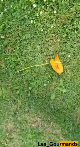 [OC] Monday Motivation and see my asshole