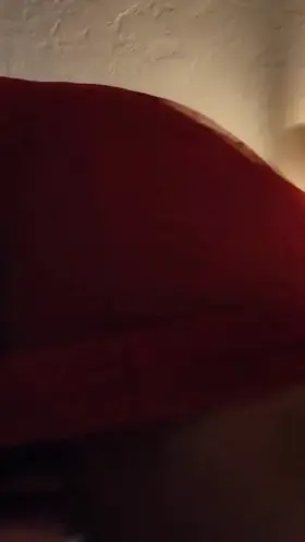 Your view as I sit on your face~