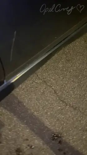 This car parked in my spot so I pissed all over it!