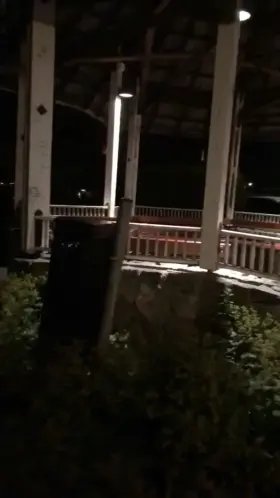 Public Sex Toy on MDMA