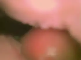 camera inside pussy showing a dick cumming