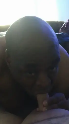 A porn GIF by starki11er2728