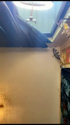 20[F4A]Upvte this for my sextape(my autoreply is on)snp: miatike