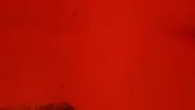 Love getting fucked from behind by a BBC Bull