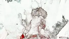 Datamoshed babe with fx