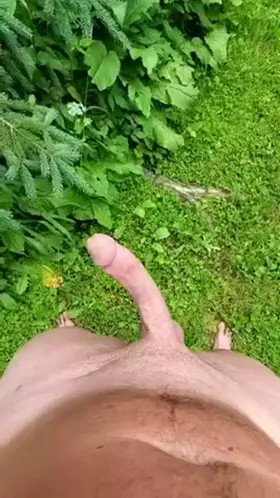 Forget the clever titles - I like to show my cock off outside (m)