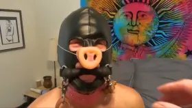 Was my Sissy Pig Squealing from my Horse Cock or the Ball Crusher?