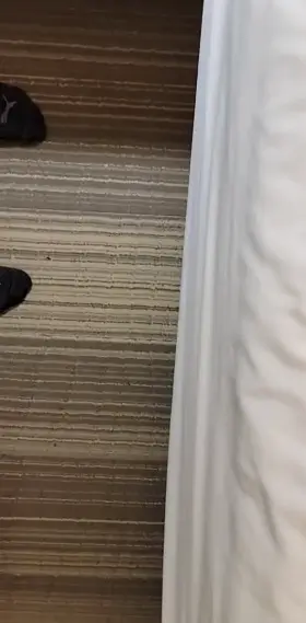 Big Dick GIF by travelguy