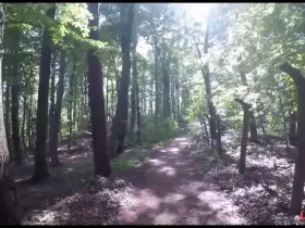 Do you know her name? (NSFW)