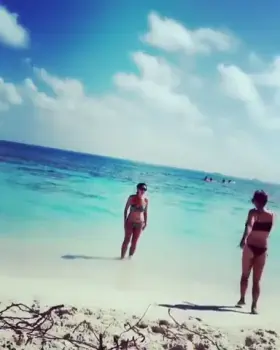 The Star Of The Show Makes Her Entrance.