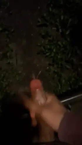 Seeding the soil💦🌱