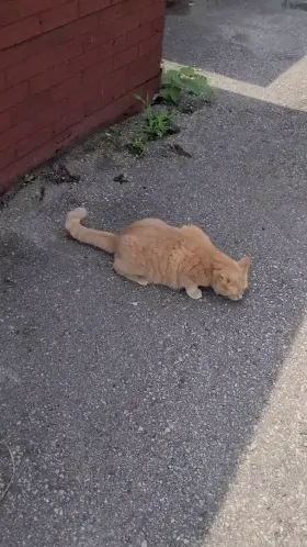 How curious would you be?