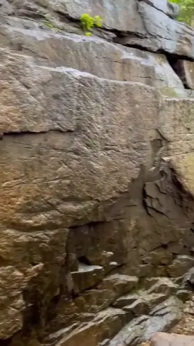 Would you go hiking with me if I blew you like this? 😈 🌲 (OC)