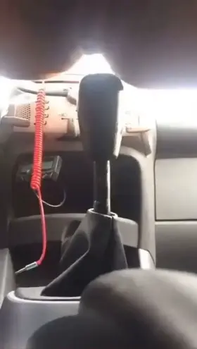 New favorite toy [Not OC]