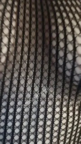 Titty fuck me then fuck me fuck me