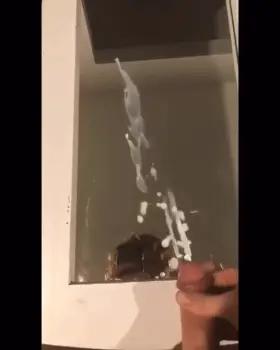 Will you finish me off