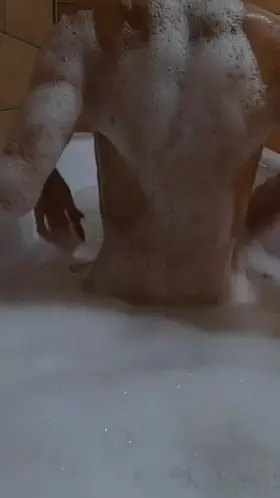 Gimme a thumbs up & dm me if u like this 109