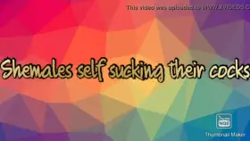 Selfie Sucking Trans Compilation