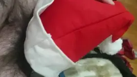 Are all the hoe hoe hoes ready for Christ[m]as?