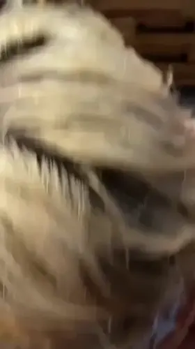 Love taking his hot load! Who wants next? 😈