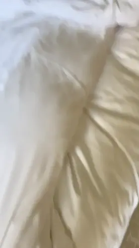 Gee… whatcha thinking about honey?