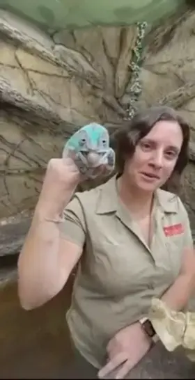 They love to be nibbled on, whose in?