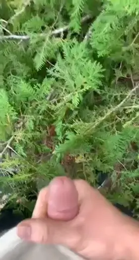 another big load on the trail... what would you do if you saw me?