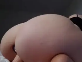 Anyone up for a ride?