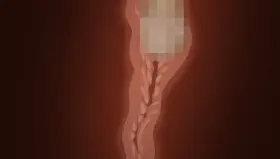 The Negotiator [Hajimete no Hitozuma]