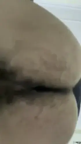 Imagine this fat ass sitting on your face