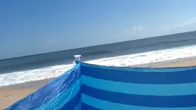 Bunny Bleu Styled The Cock At The Beach