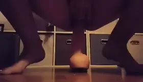 Porn GIF by stagvixentexas2112